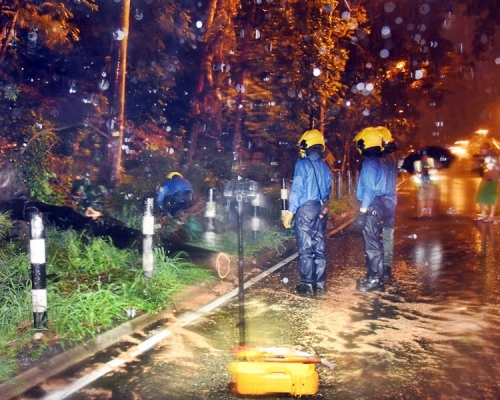 消防以電鋸鋸開樹幹，再移至路旁。