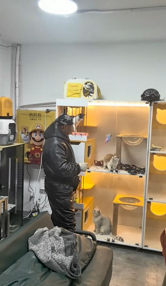 大叔用賣剩的烤番薯向寵物店換來短暫的逗貓時光。抖音@無敵奶爸