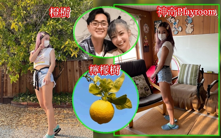 何雁詩帶老公去咗成長地睇橙樹同細個覺得好神奇嘅Playroom。