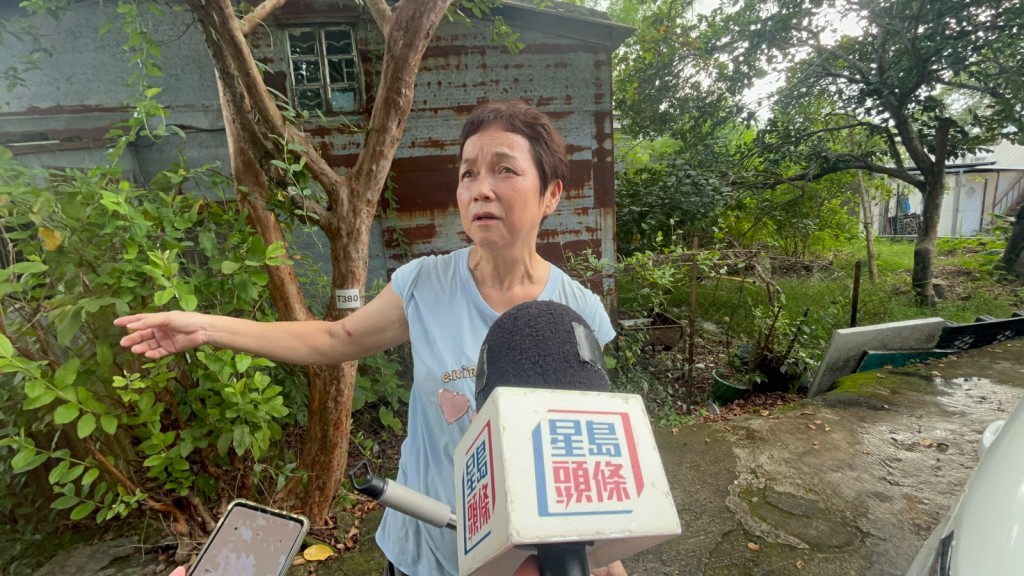 村民李女士表示，不時看到村內有無人牽引的狗隻出沒，四處翻動垃圾。楊偉亨攝
