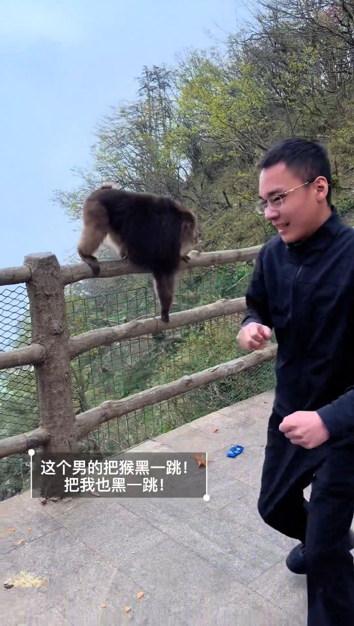 四川有游客恶意推袭险令猴子跌落悬崖，引起网络公愤。抖音
