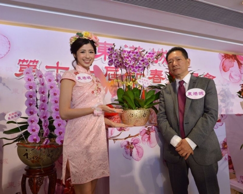 楊小龍(右)首次培育出的新品種蘭花「蝶舞迎春蝴蝶蘭系列」。郭顯熙攝