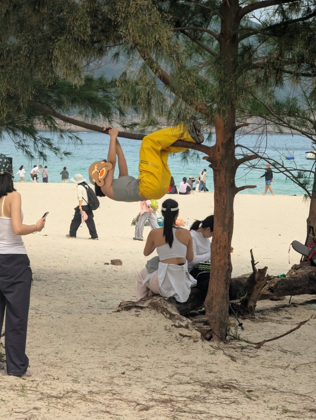 遊客罔顧安全爬樹打卡。(相片來源:由綠色希望提供) 遊客罔顧安全爬樹打卡。(相片來源:由綠色希望提供)