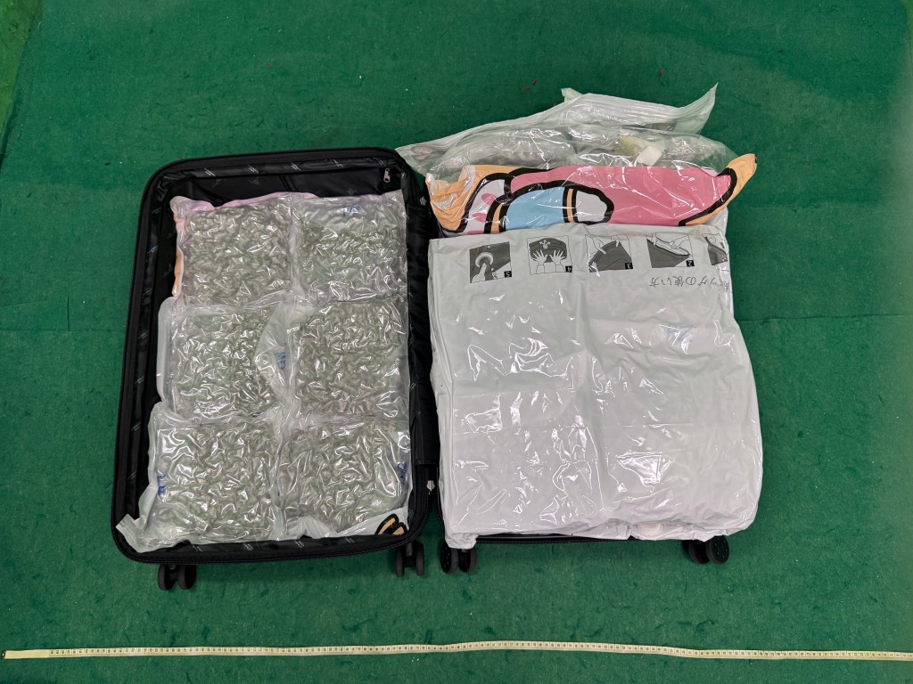 藏於其中一個行李箱內的懷疑大麻花。海關圖片 藏於其中一個行李箱內的懷疑大麻花。海關圖片
