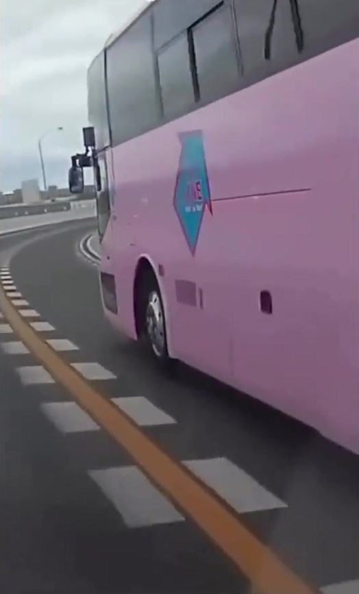粉紅色旅遊巴正在行駛。網上截圖