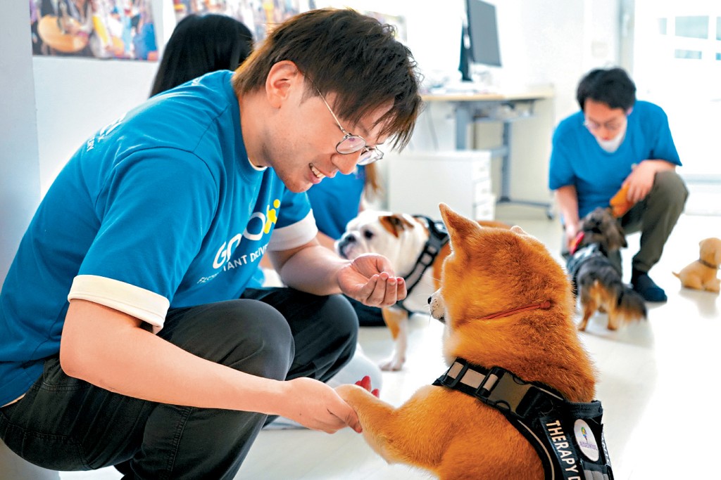 心理學融合動物輔助治療 領養犬經訓練成心靈夥伴