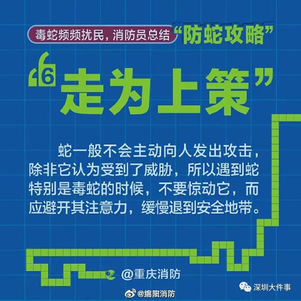 消防提醒若發現有蛇勿私自捕捉或驚擾。