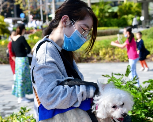 漁護署呼籲養寵物的市民要注重個人衛生。資料圖片