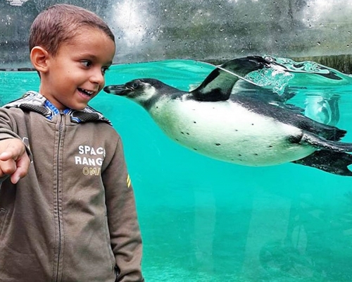 圖片來源:ZSL London Zoo facebook
