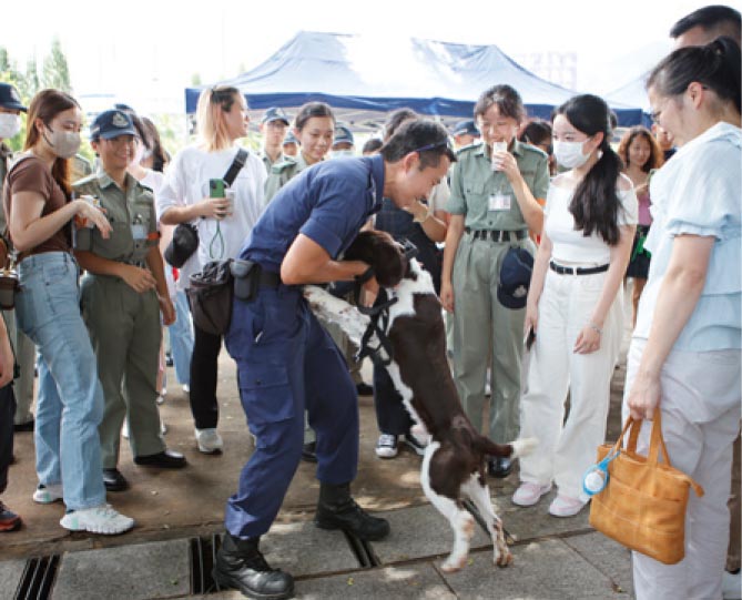 参与者近距离接触警犬。