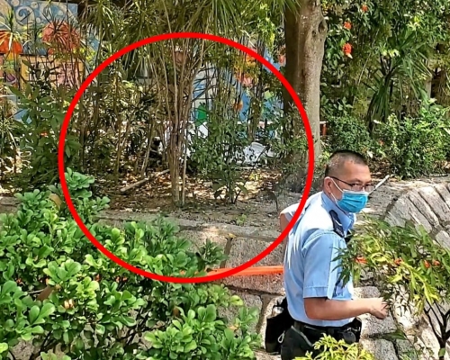 男子當場證實死亡。