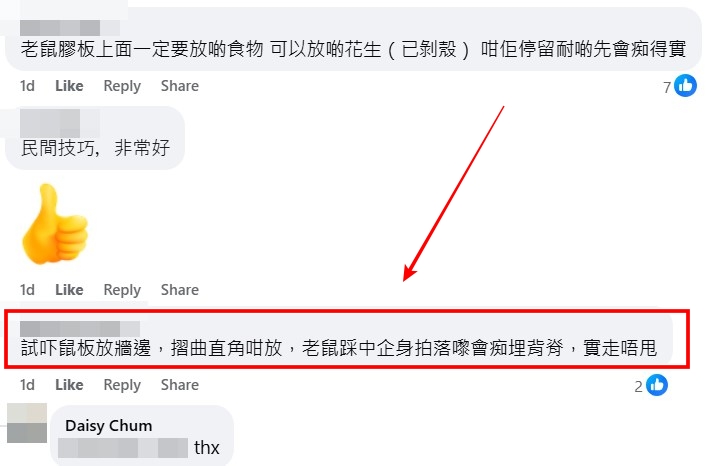 facebook截圖(資料來源:Daisy Chum@facebook香港滅蟲關注組) facebook截圖(資料來源:Daisy Chum@facebook香港滅蟲關注組)