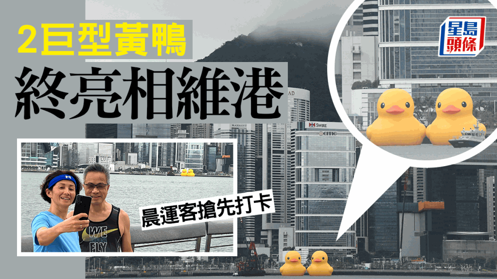 巨型黃色「橡皮鴨」（Rubber Duck）事隔十年再臨香江，昨日（8日）晚上一對橡皮鴨於灣仔會展廣場對開海面完成充氣，今早11時將進行啟航禮。李家傑攝