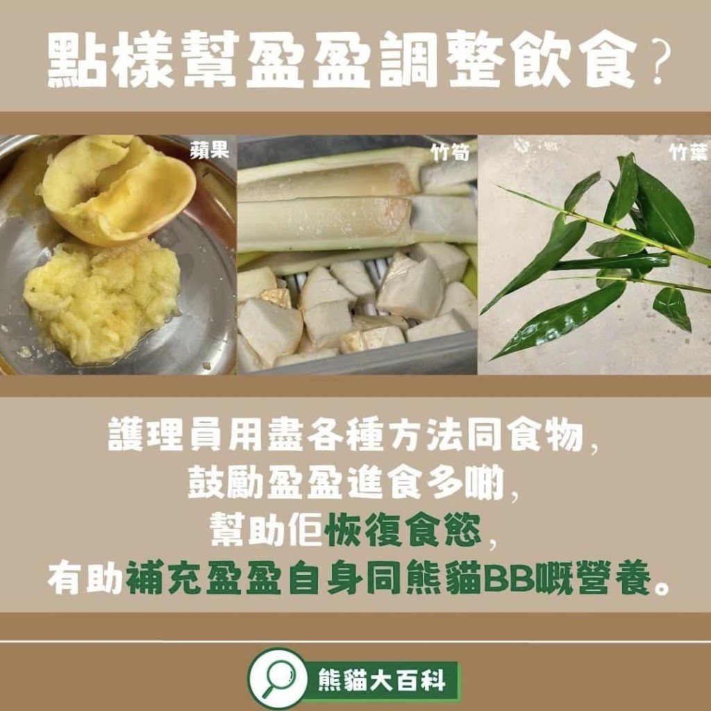 方表示，护理员用尽各种方法和食物鼓励阱盈盈进食多些，帮助盈盈恢复食欲。海洋公园FB图片