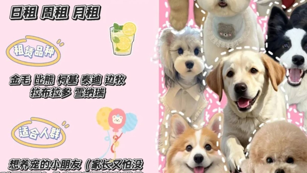内地北上广兴起时租宠物，让打工人花钱「过过瘾」。小红书