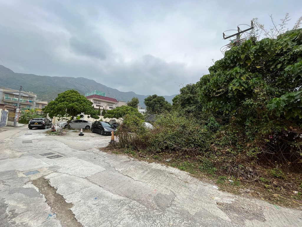 大埔農地以108萬拍出 獲3組客出價爭奪