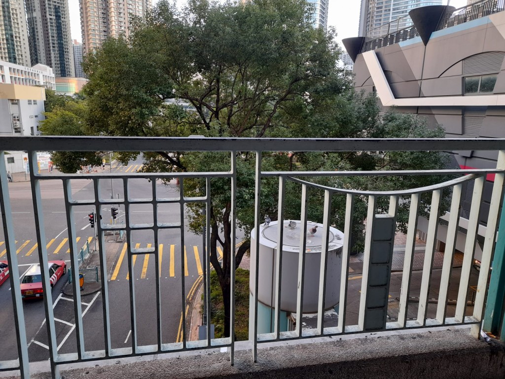 尚德邨接連商場與尚智樓的天橋，不時見到野鴿。讀者提供