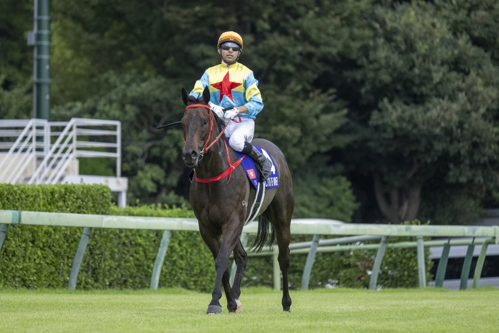 「維港智能」在中山競馬場跑獲第六名，賽後返回解鞍處。