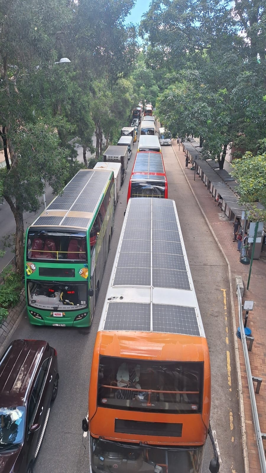 上水區大塞車。網上圖片 上水區大塞車。網上圖片