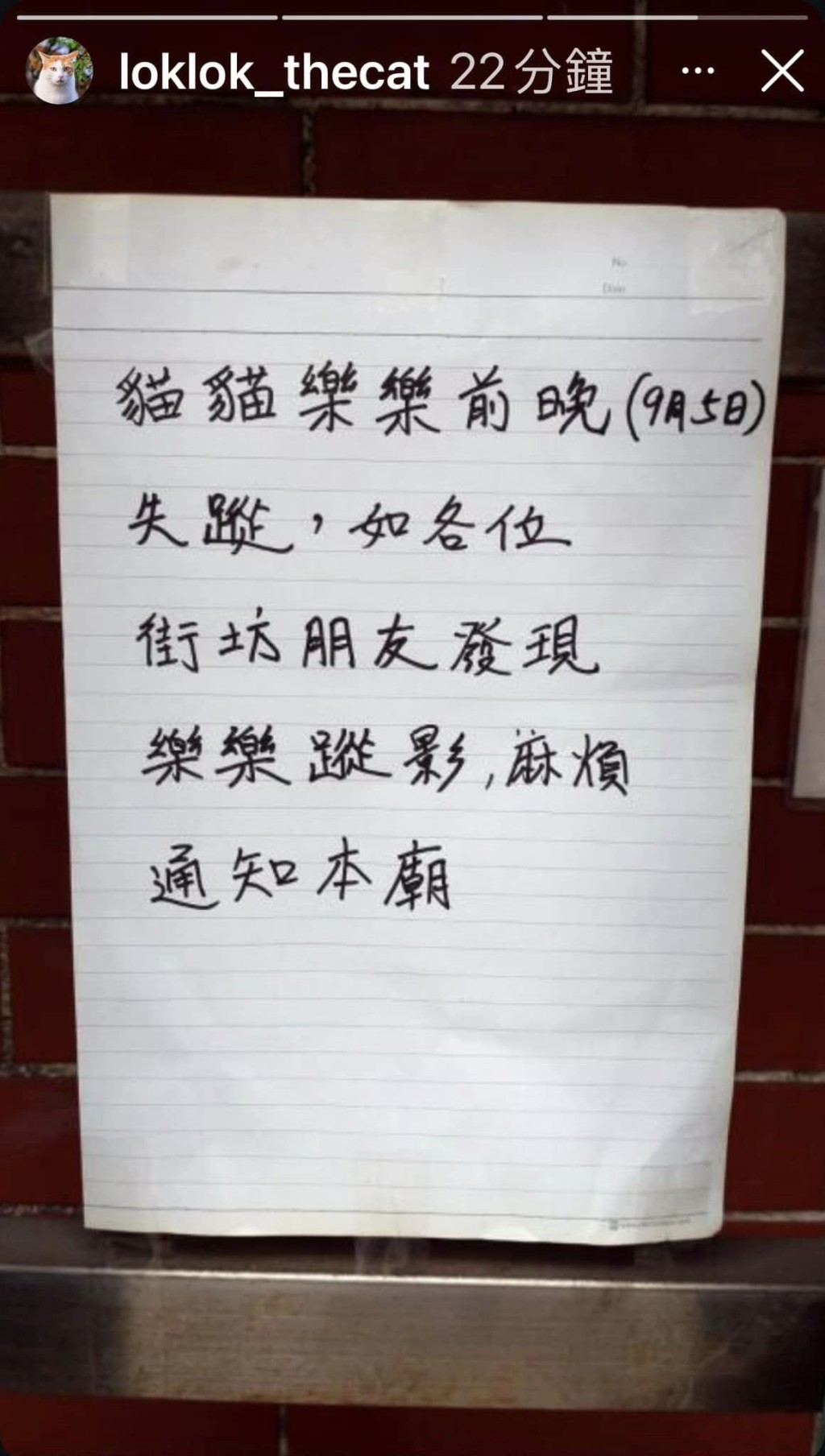 红磡北帝庙事后贴出告示寻猫。网上图片