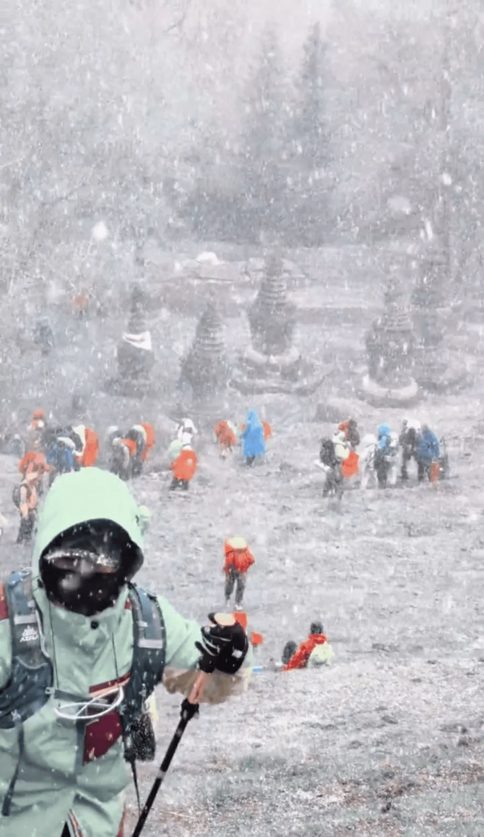 五台山五月飞霜，可不是一般的小雪。 极目新闻