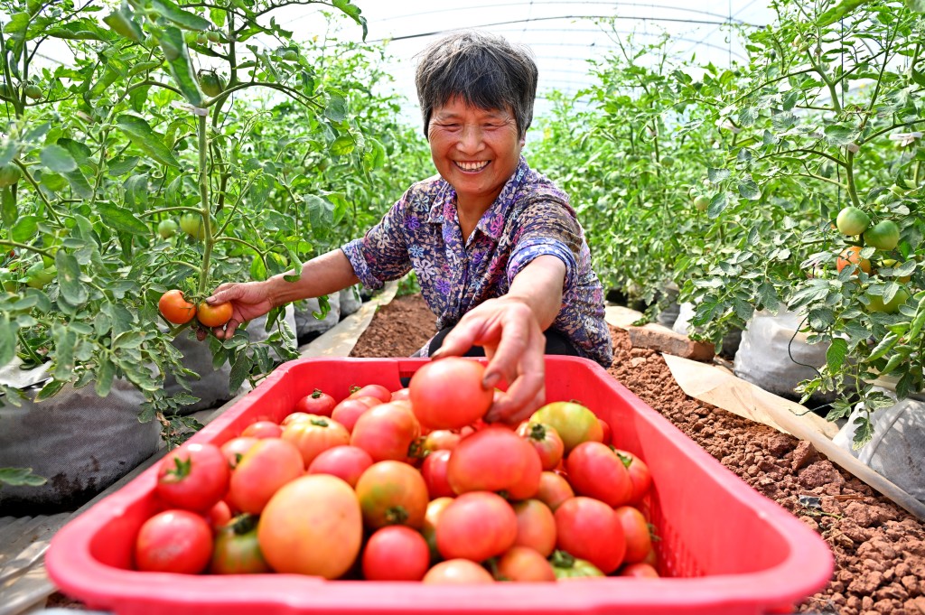 內地研究指， 50歲後能健康工作不足7年。