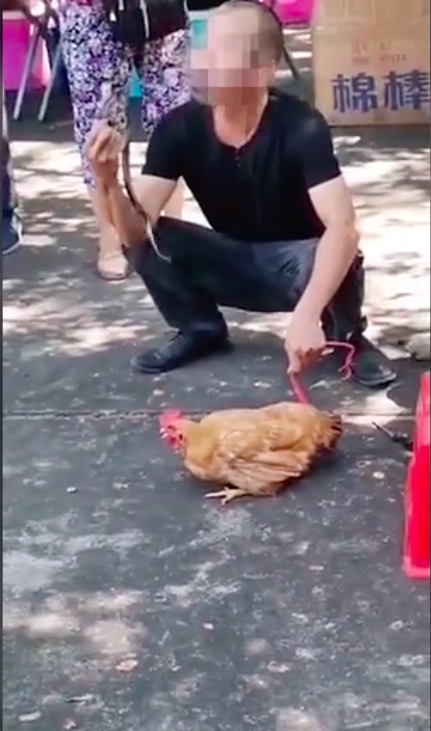 網圖