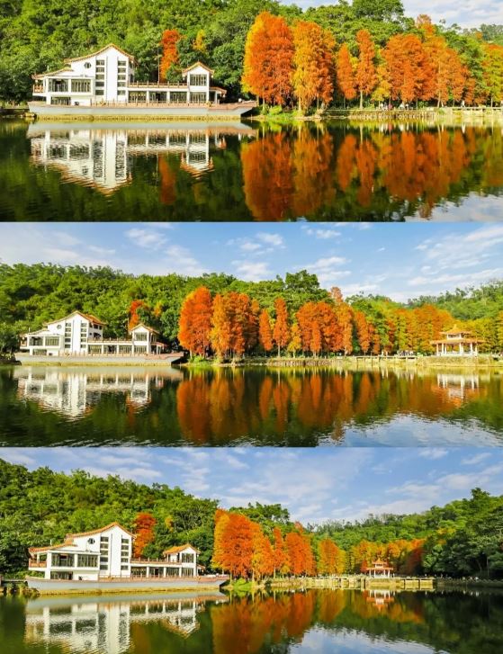 洪湖公园秋天景色优美