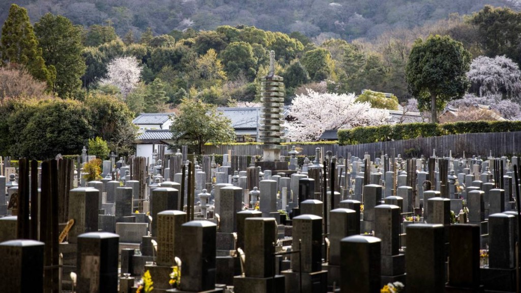 日本越來越多的墓地正遭遇「無緣化」的困境。法新社
