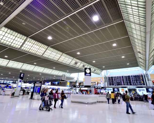 日本東京成田機場為了防止非洲豬瘟入侵,增加檢疫犬查緝旅客是否私帶肉品進入境內。 網圖