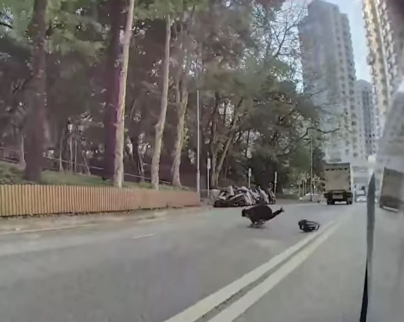 fb車cam L（香港群組）影片截圖