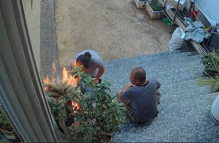 妇人在丈夫面前点燃其种植多年的“九尾狐”，火势一发不可收拾。