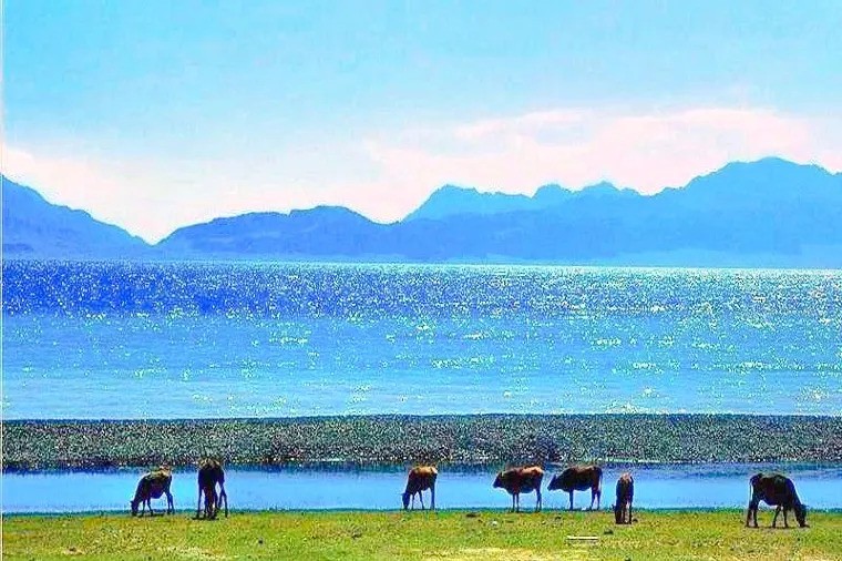 乌伦古湖国家湿地公园