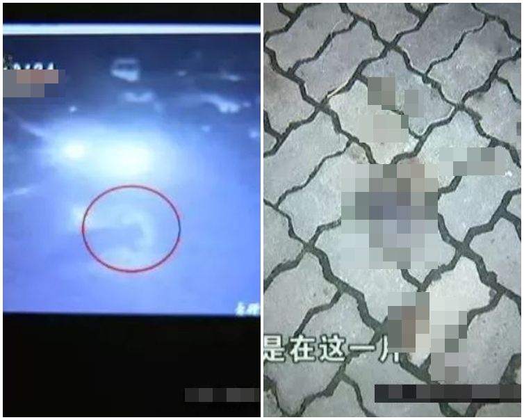 網圖
