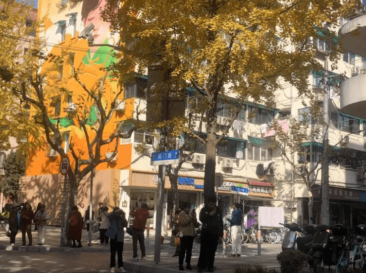 上海的一條馬路因銀杏樹葉金黃突然成為暴火的景點。