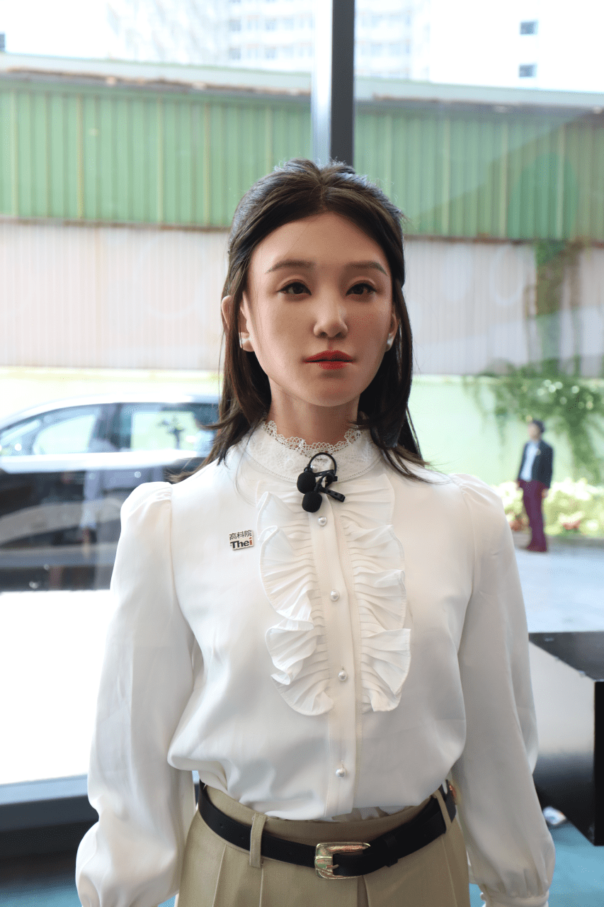 人形機器人小迪。