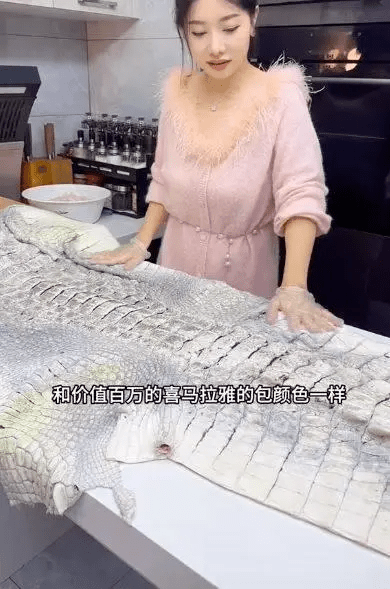 網紅小何在影片中展示鱷魚皮。