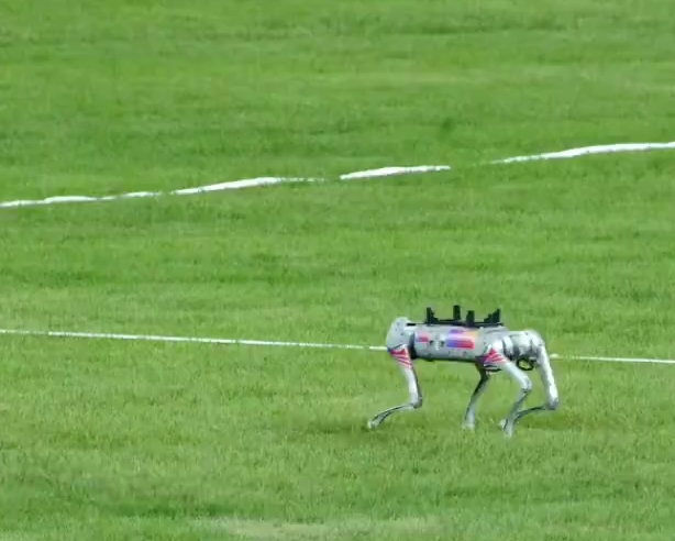 全球首次使用机械狗搬运体育器械。