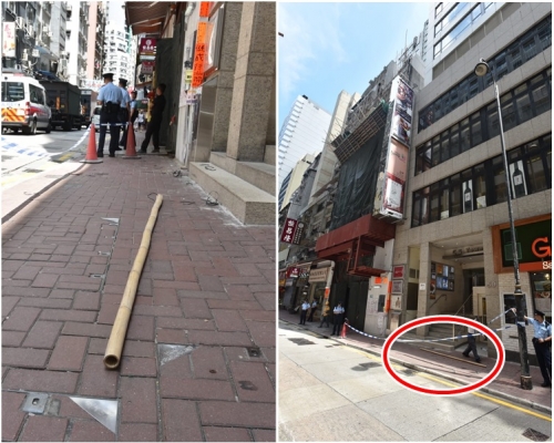 墮下的竹枝長約兩米半。