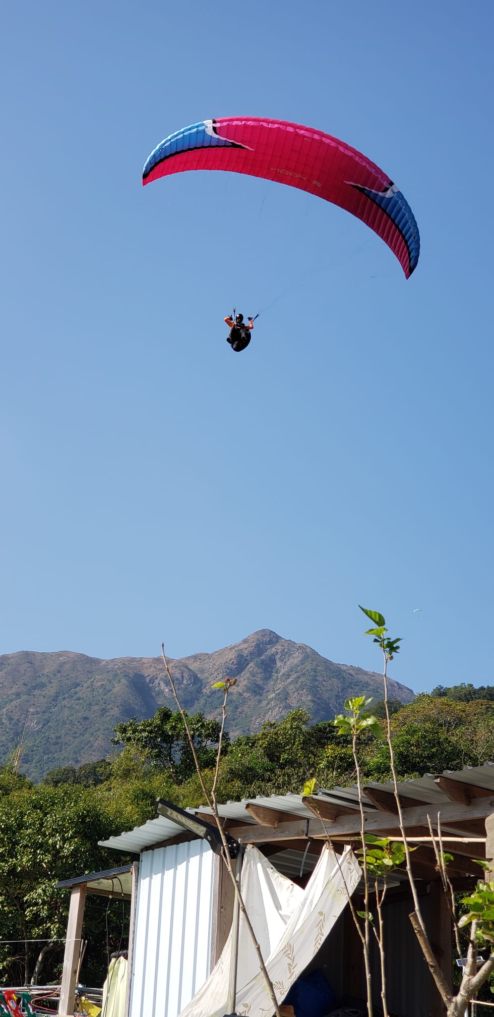 近一年經常有玩滑翔傘人士在農莊附近降落。（朱先生提供）