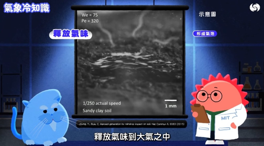香港天文台《氣象冷知識》「汪汪夢裏聞:下雨的味道」截圖。 香港天文台《氣象冷知識》「汪汪夢裏聞:下雨的味道」截圖。