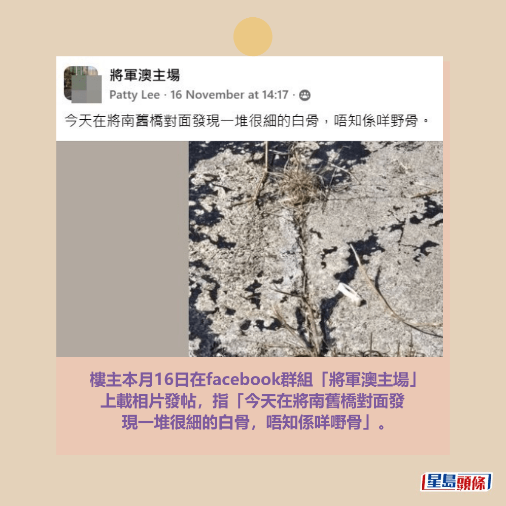facebook截圖（資料來源：Patty Lee＠facebook將軍澳主場）