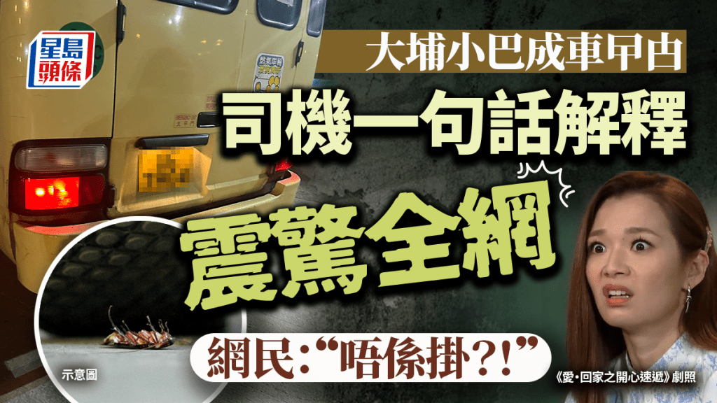 有港女晚上在大埔搭小巴，驚見成車曱甴，「坐去邊都係曱甴」，司機面對此情況，竟有奇葩解釋，尤其是用一句話形容曱甴特性，震驚網民：「唔好黐線啦！」「唔係掛？！」