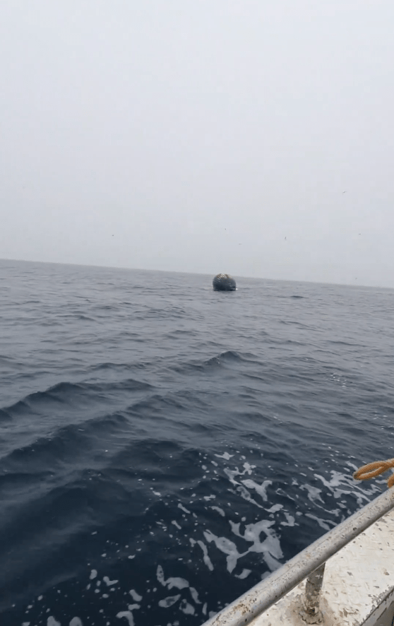 挪威北部渔民达格近日在该国北部、距离北极圈约300公里的安德亚岛海岸，出现一个外形相当诡异的黑色巨型球体，初时惊讶不知是甚么东西。
