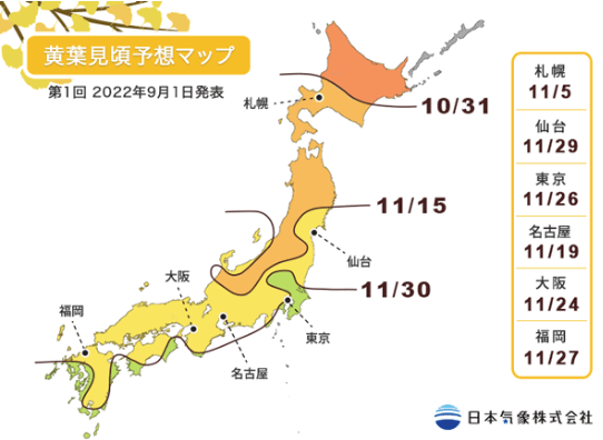 日本氣象株式會社同樣預測了今年銀杏葉的最佳觀賞期。日本氣象株式會社圖片
