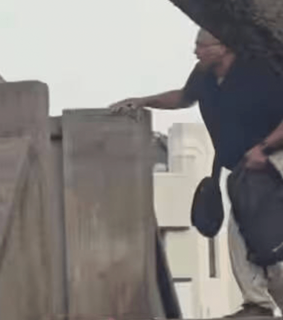 其中萨吉德已被警方击毙。