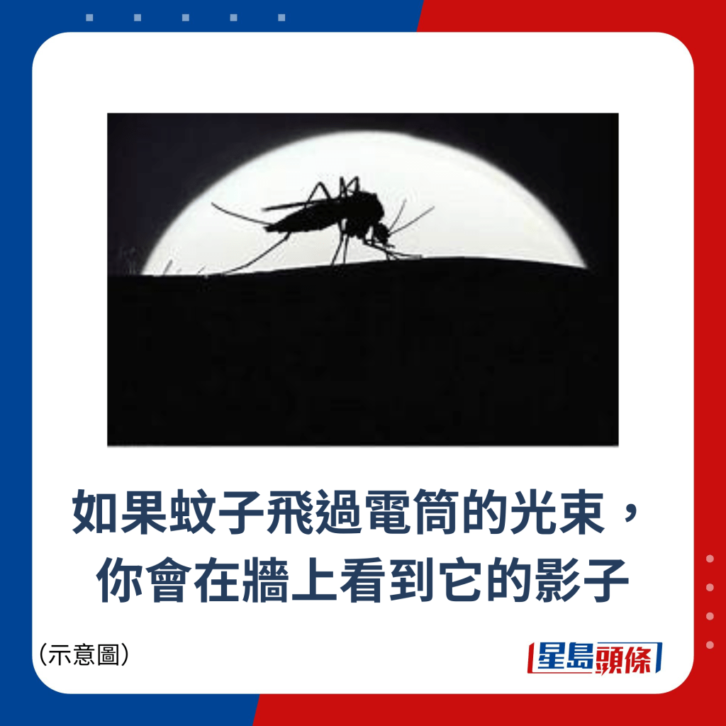 如果蚊子飞过电筒的光束， 你会在墙上看到它的影子