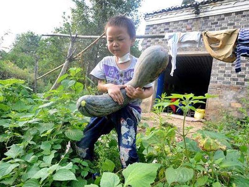 徐奧亦會幫忙下田種菜。網圖