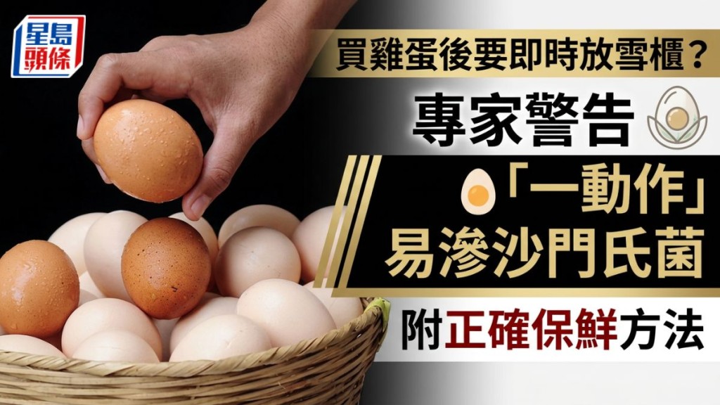 買雞蛋後要即時放雪櫃？專家警告「一動作」易滲沙門氏菌 附正確保鮮方法