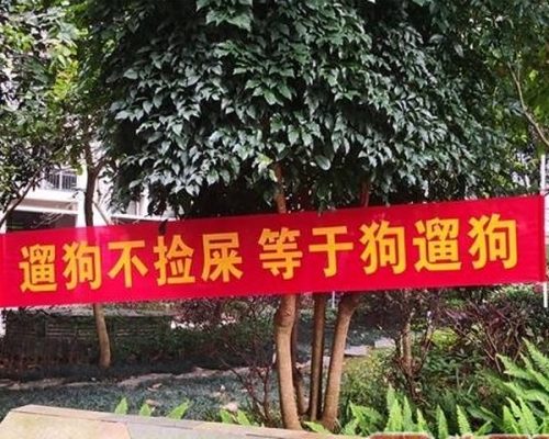 廣西屋苑出現一張寫有「遛狗不撿屎,等於狗遛狗」的橫額。網圖